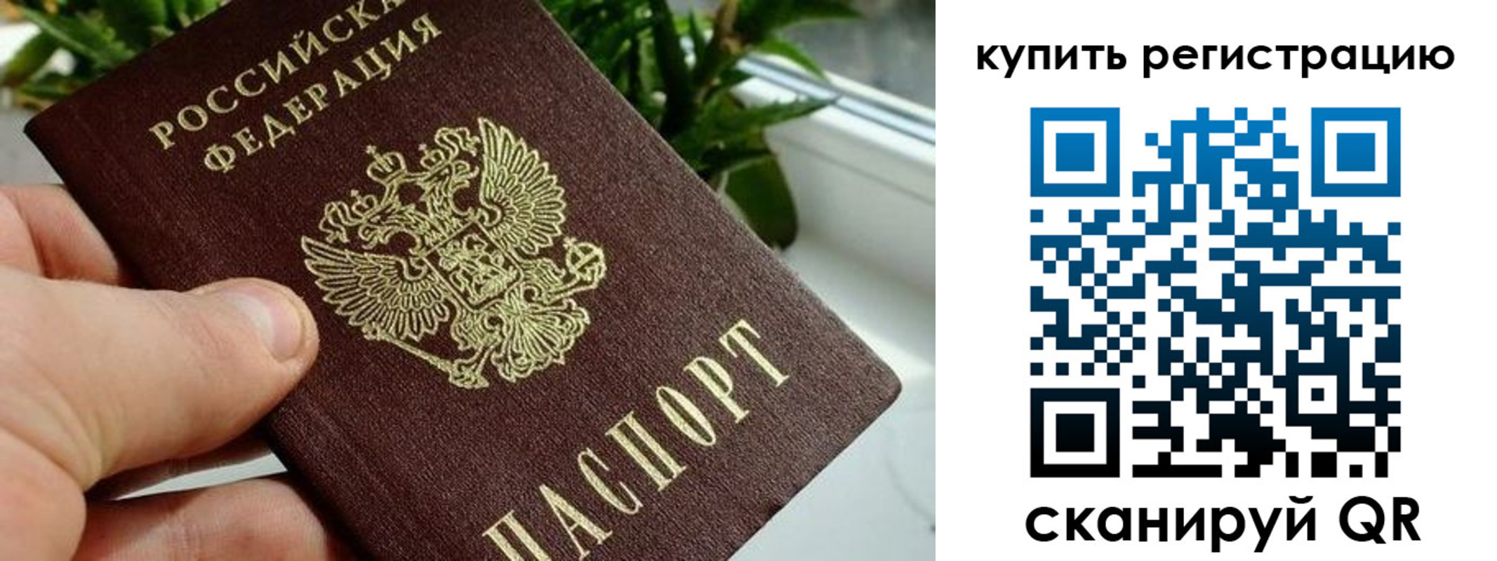 прописка гарантия в Губкине